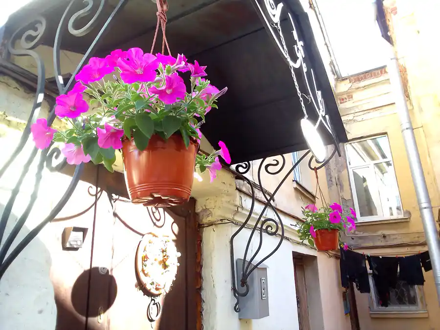 Быт богатых горожан 19века