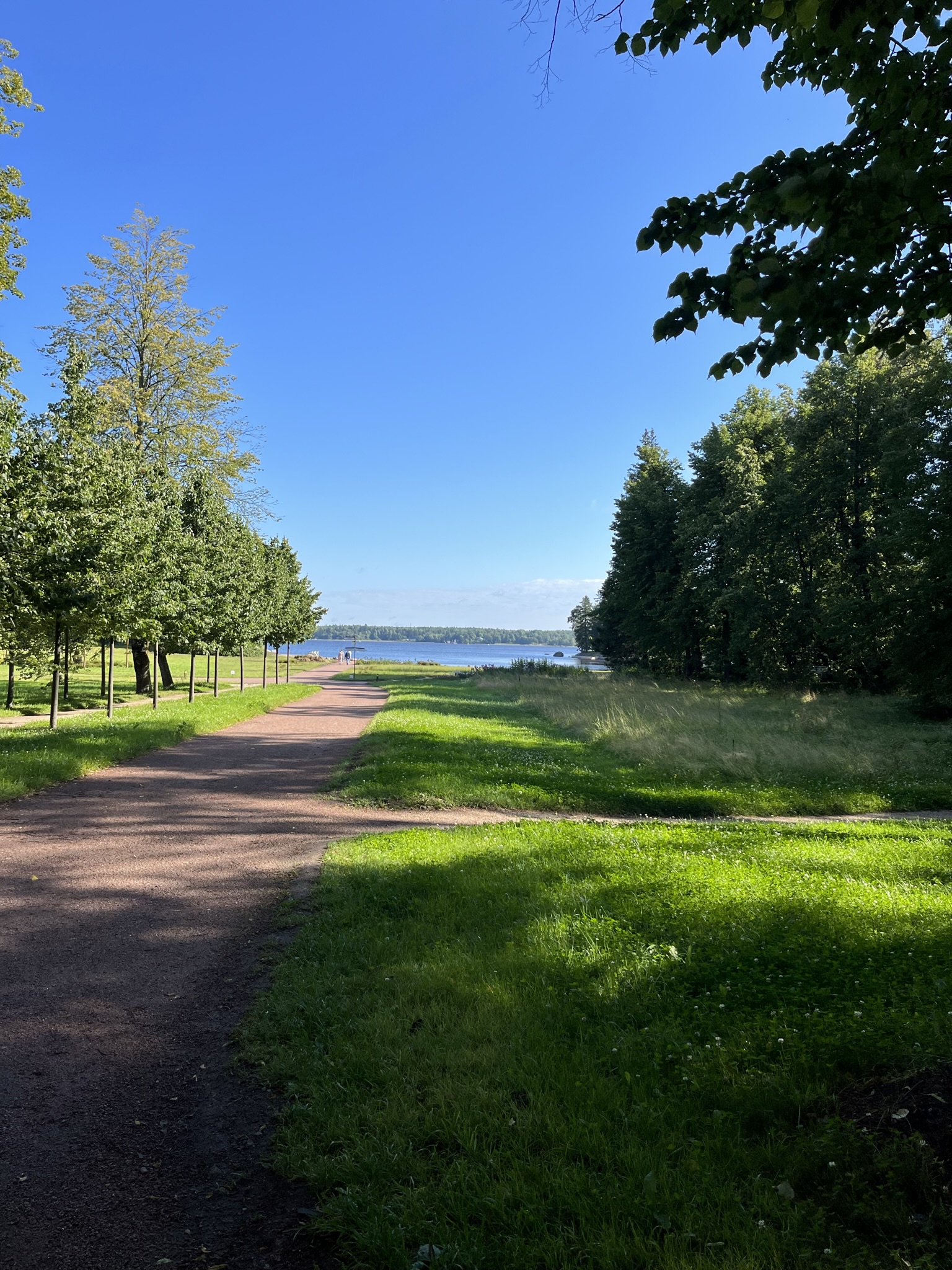 Большое путешествие в Средневековый Выборг