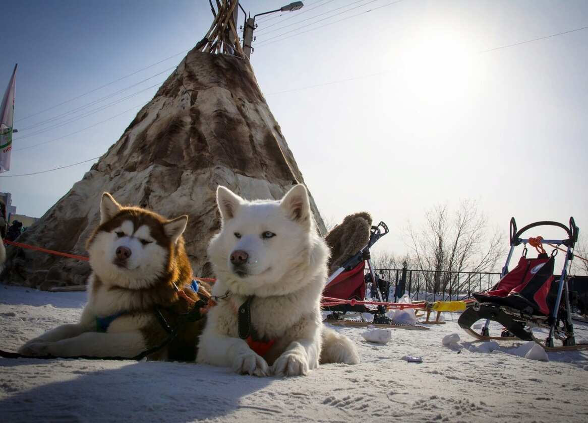 Северное сияние Саамская деревня