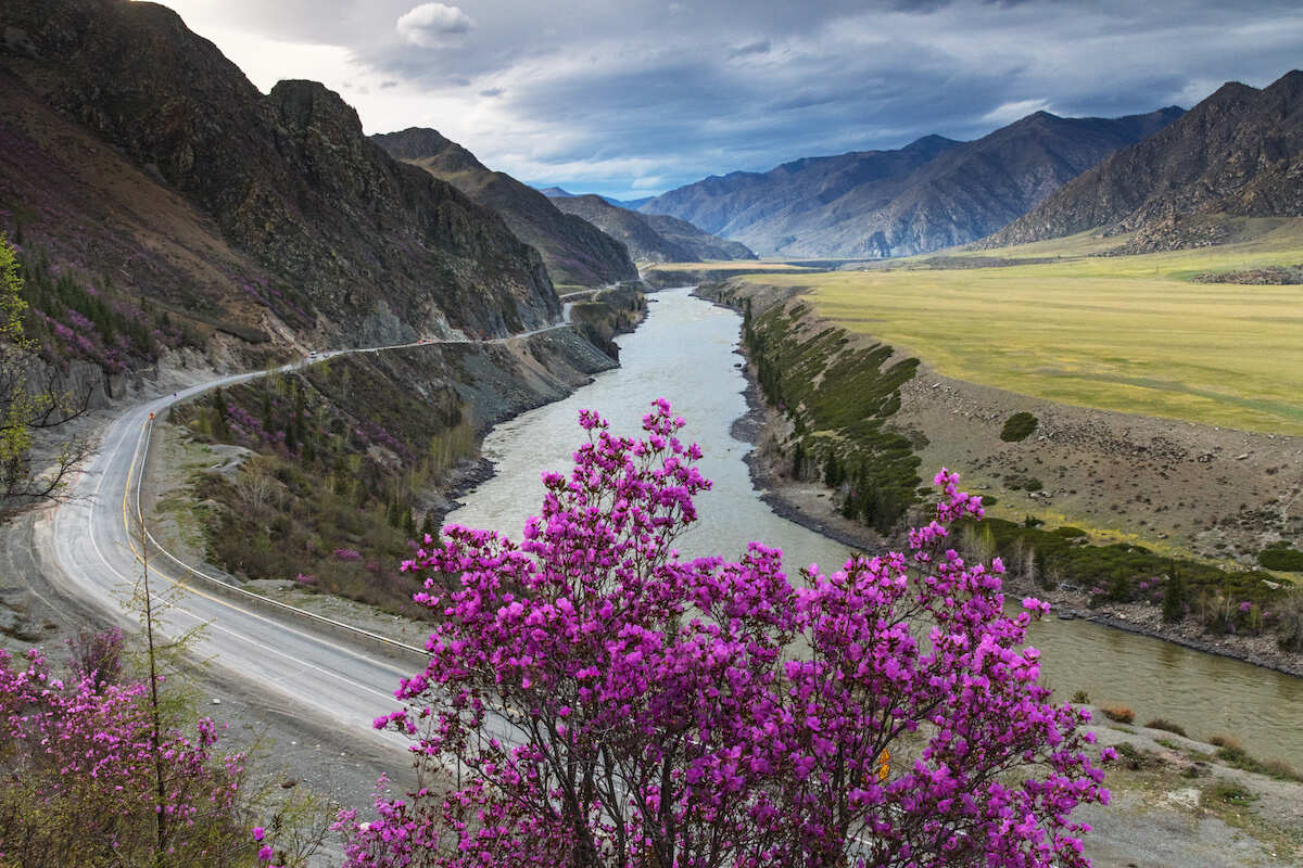 Алтай в мае фото ВЕСЕННИЙ АЛТАЙ. - отдых по цене от 50 000 ₽ - YouTravel.Me