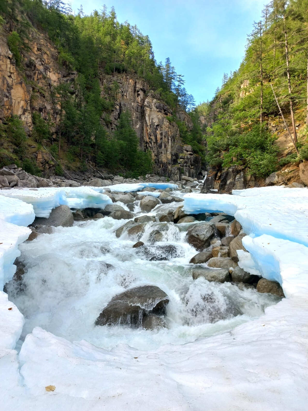 Сакукан река Кодар