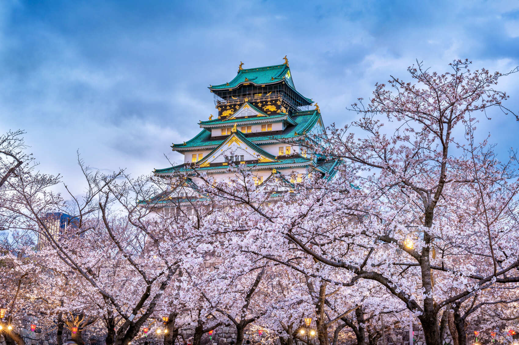 Япония Премиум — путешествие по стране восходящего солнца