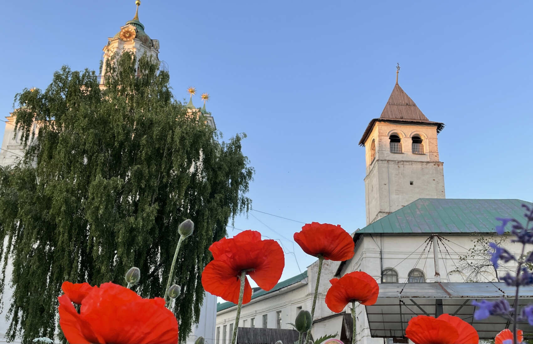 Семейный тур. «Ярославль. В гости к Алеше Поповичу»