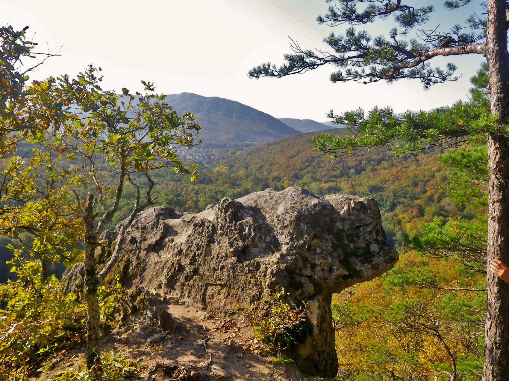 Планческая щель краснодарский край фото. Посёлок планческая щель краснодарский край. Планческая щель адыгея. Погода планческая щель. Планческие скалы краснодарский.