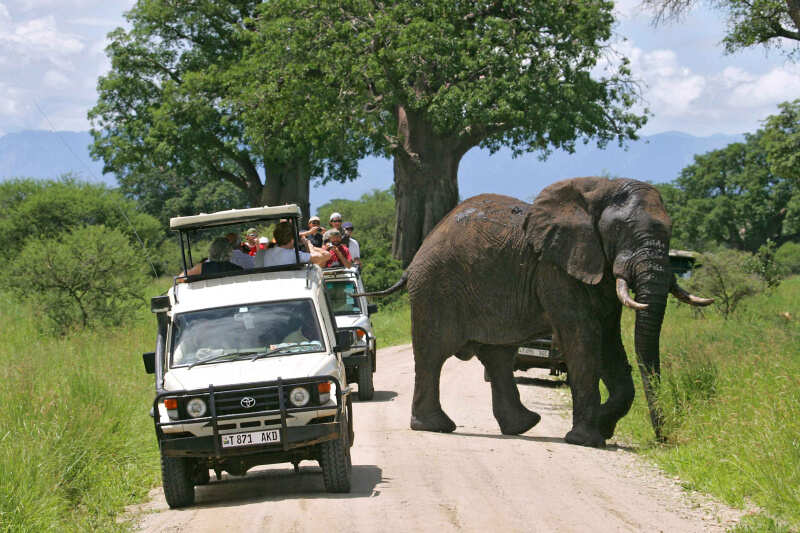 tanzaniya_5_dney_tanzaniya_byudzhetnoe_kemping-safari_serengeti_nebolshoy_gruppovoy_tur