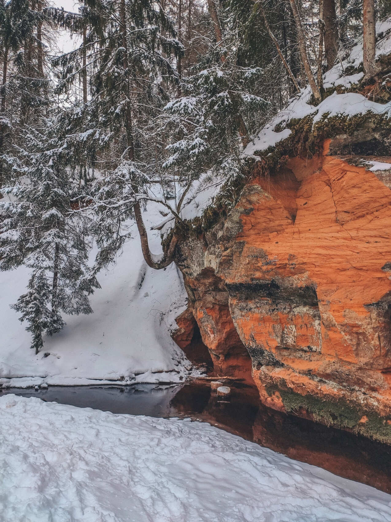 Деревни и усадьбы реки Оредеж с посещением закрытого дворца Демидовых!