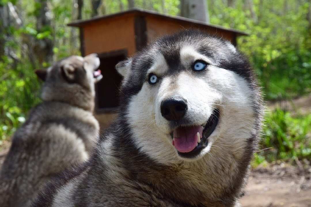 vesennyaya_kamchatka_