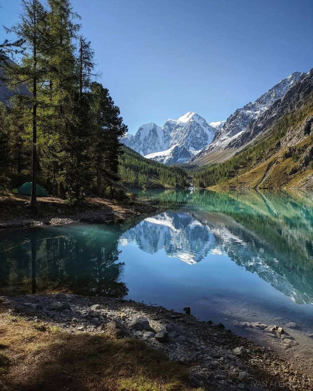 Шавла Алтайский край