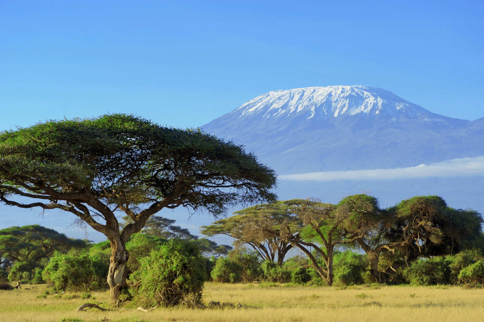 Танзания. Восхождение на Килиманджаро