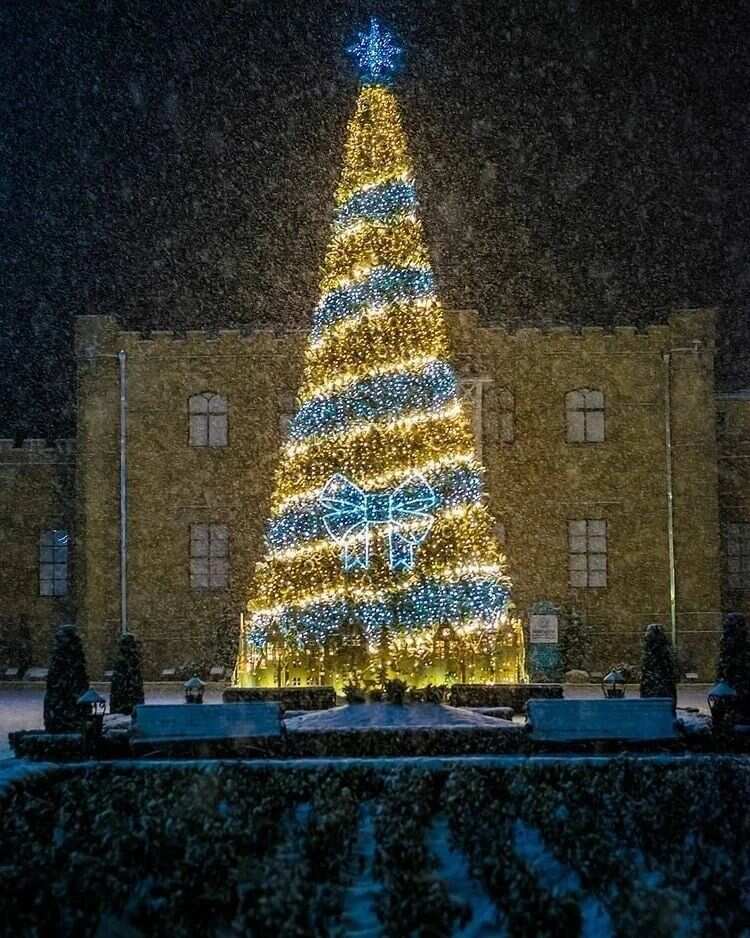 Новогодние каникулы на Кавказе