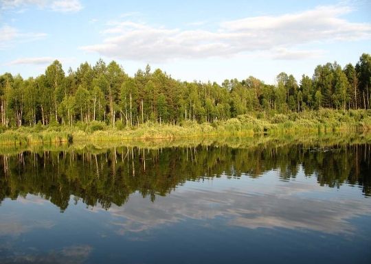 Орловское полесье