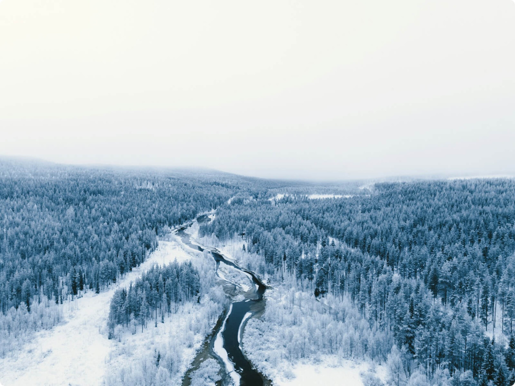 Лес