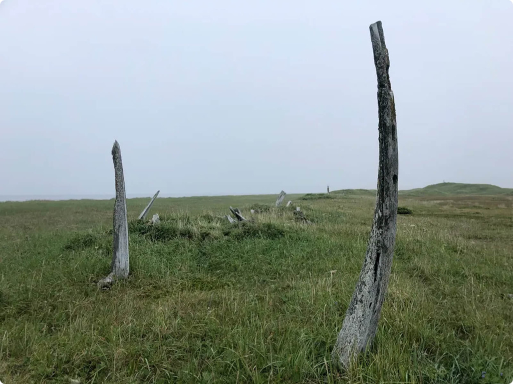 Китовая аллея Китовая аллея