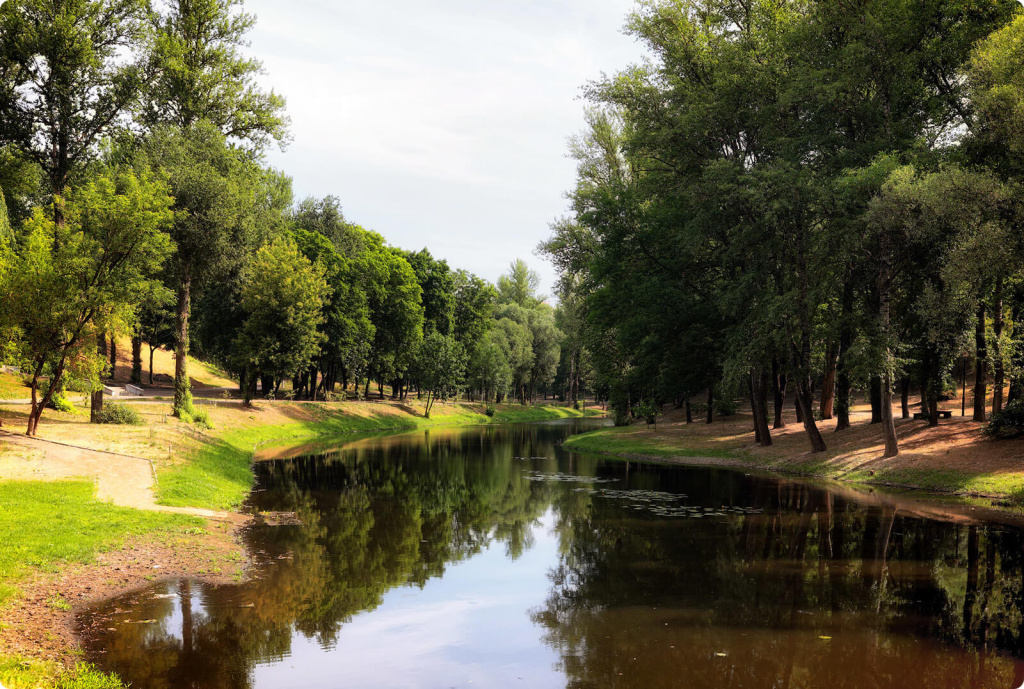 Деревья и река