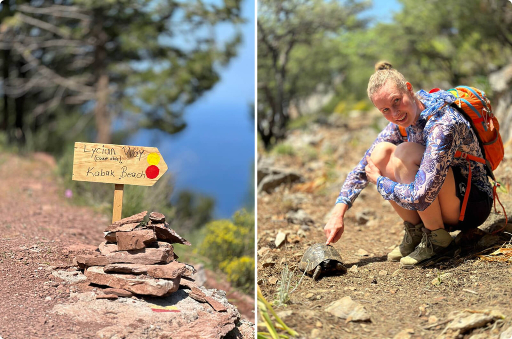 Черепашка и указатель