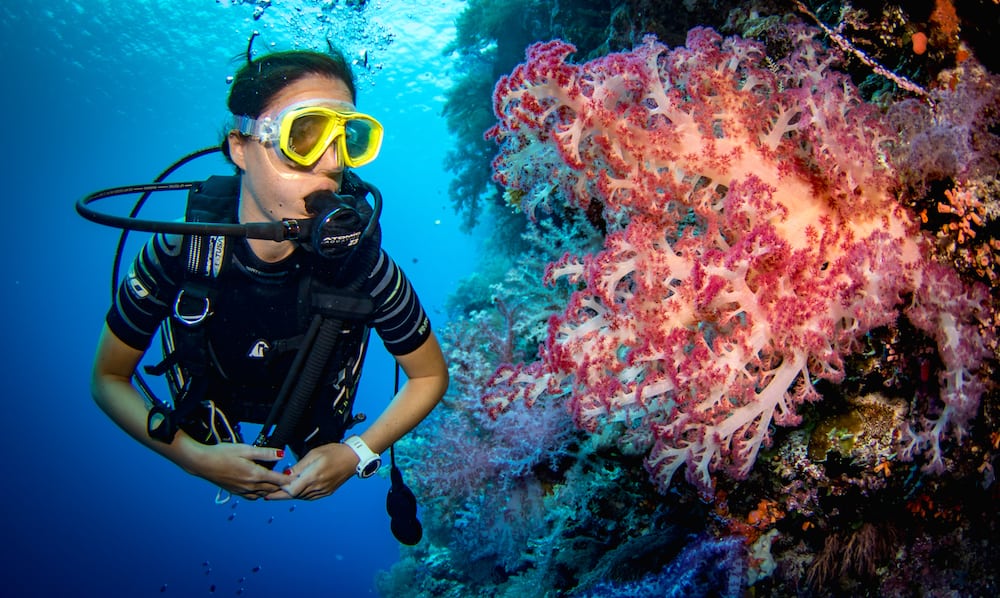 Large-Buoyancy-wall-diving.jpg Large-Buoyancy-wall-diving.jpg