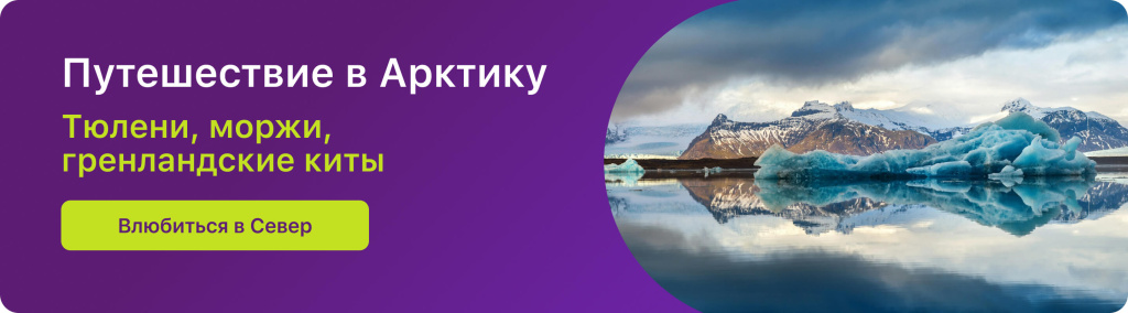 Путешествие в Арктику
