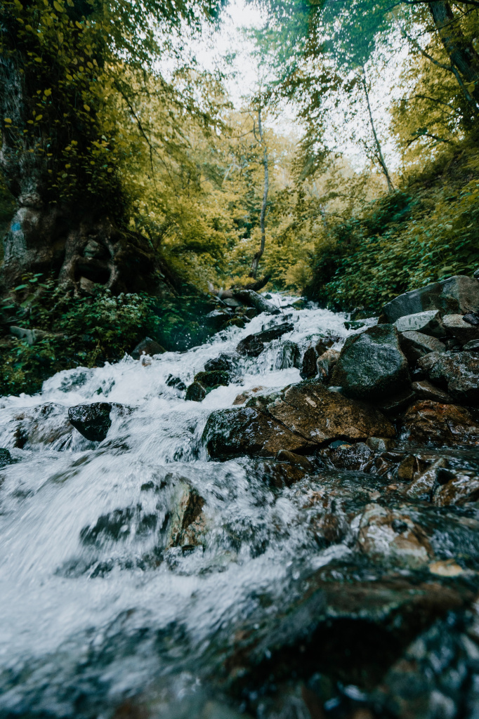 dmitry-tomashek-Ql1eKGt2KY4-unsplash.jpg dmitry-tomashek-Ql1eKGt2KY4-unsplash.jpg