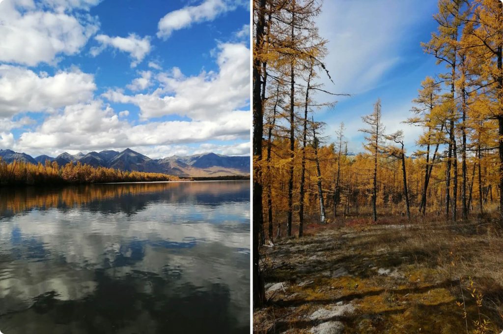 Лес и озеро