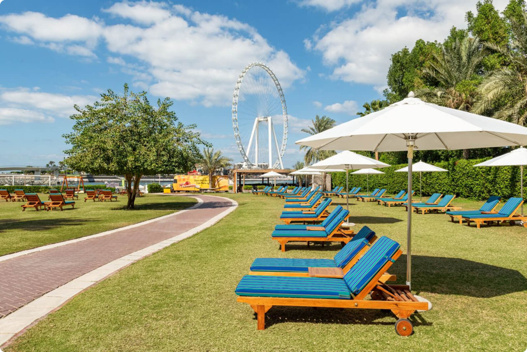 Шезлонги Шезлонги