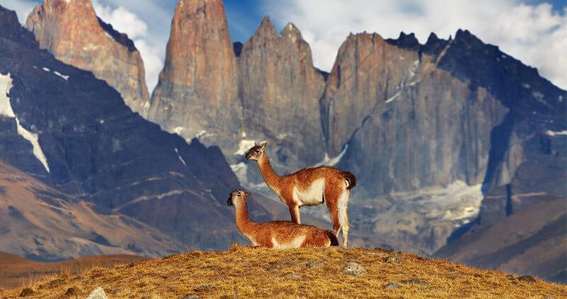 Национальный парк Торрес-дель-Пайне в Чили