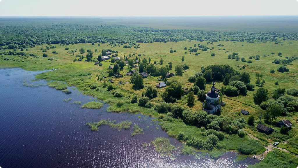 Лес и здания