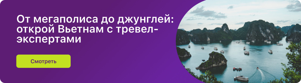 От мегаполиса до джунглей: открой Вьетнам с тревел-экспертами