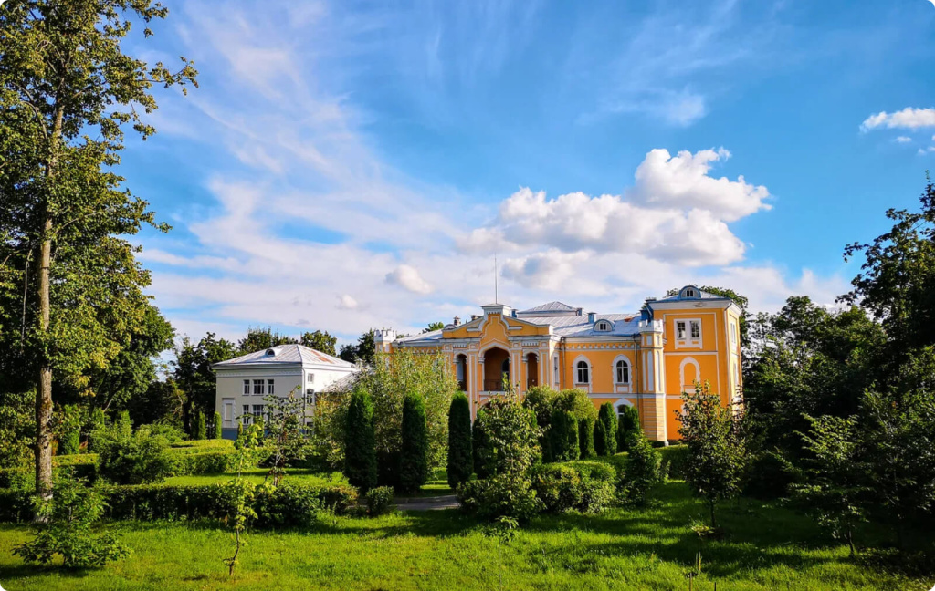 здания и деревья