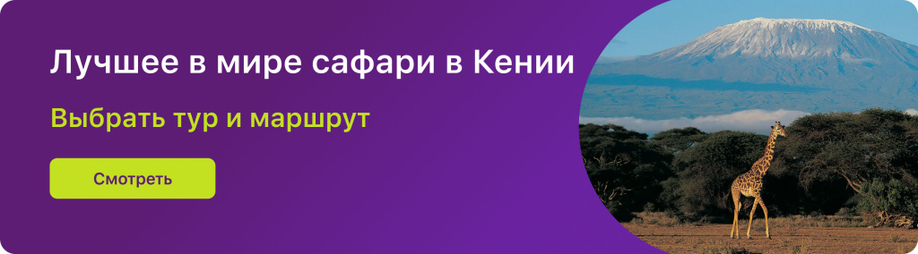 Лучшее в мире сафари в Кении