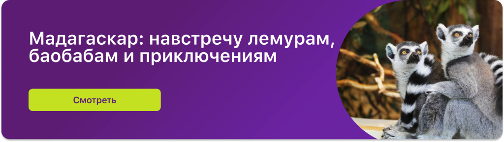 Мадагаскар: навстречу лемурам, баобабам и приключениям