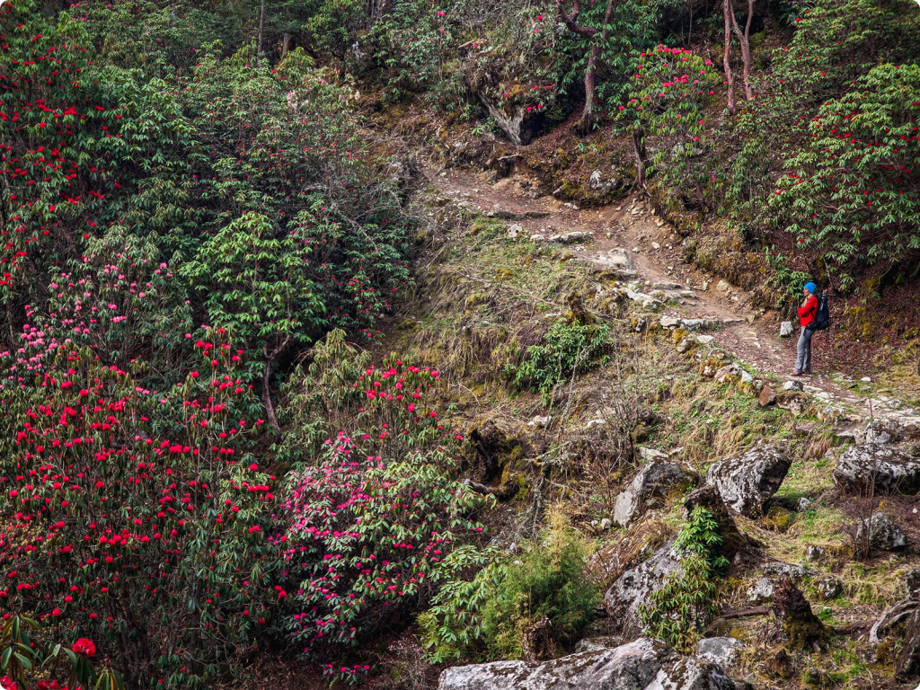 Скалы Скалы