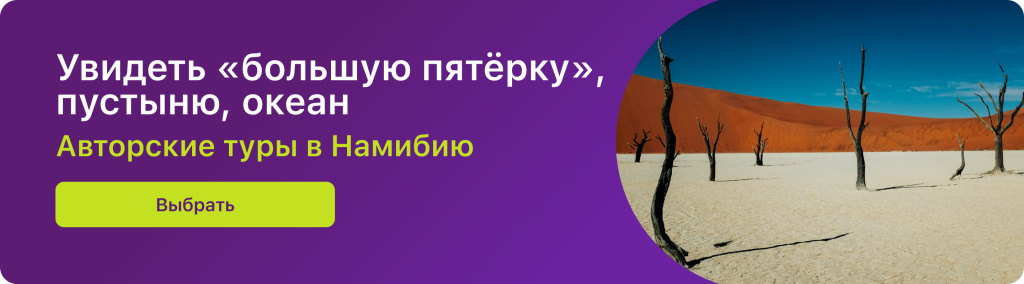 Увидеть «большую пятёрку», пустыню, океан