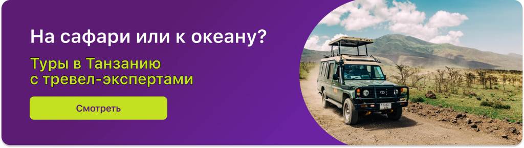 На сафари или к океану?