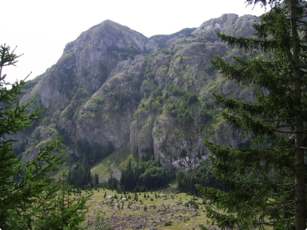 Гора и лес
