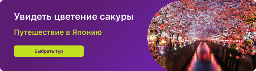 Увидеть цветение сакуры