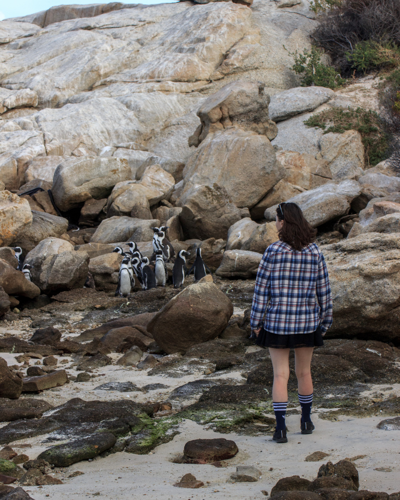 Пляж с пингвинами Болдерс Бич, ЮАР