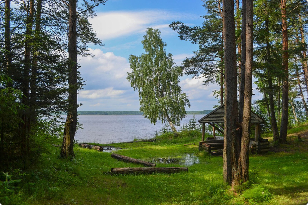 Озеро и лес