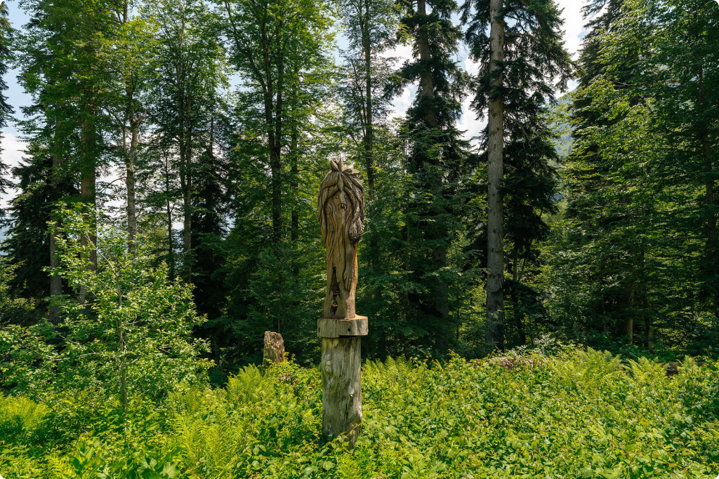 Лес и идол