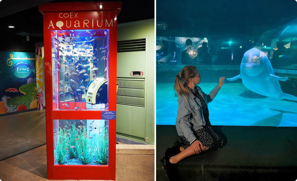 Океанариум