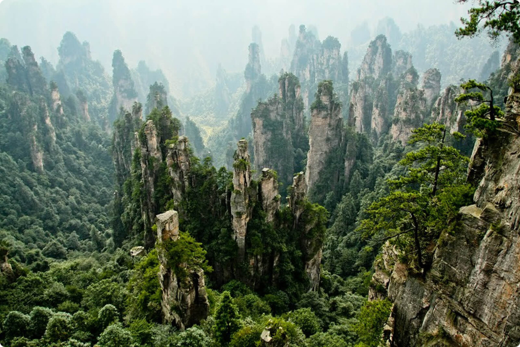 Скалы