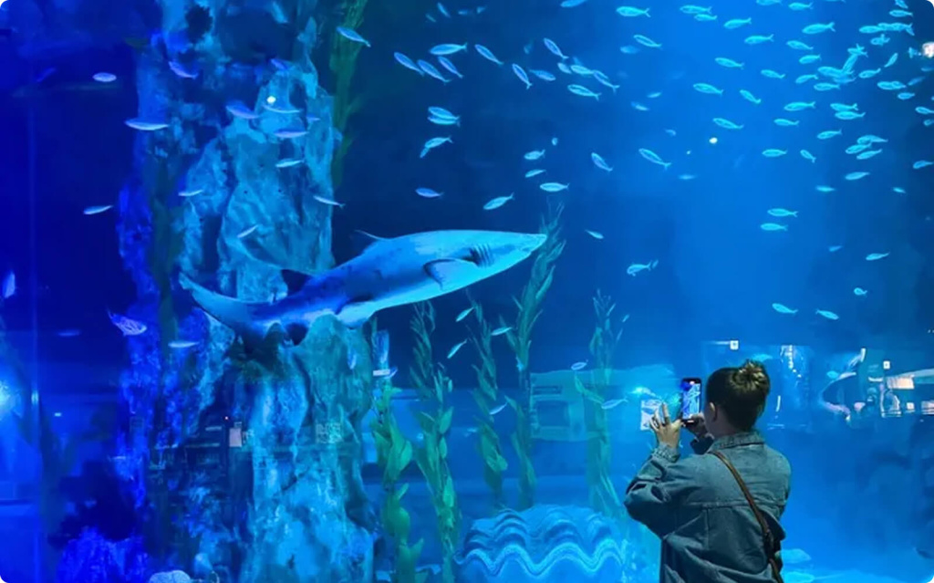 Океанариум