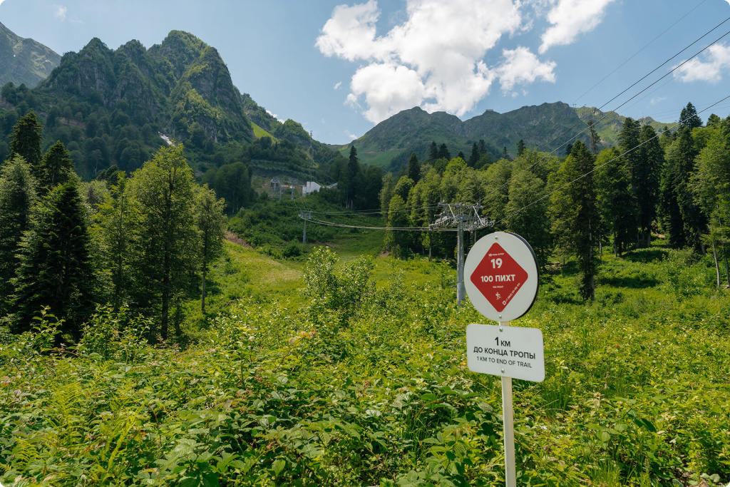 Лес и указатель