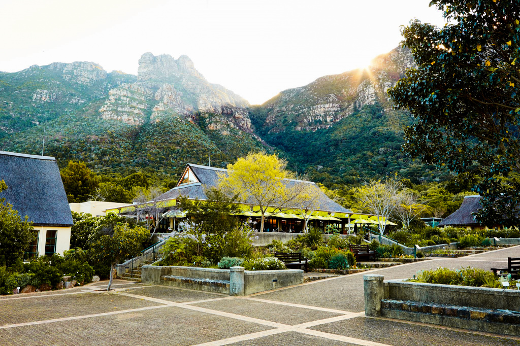 Ботанический сад в ЮАР