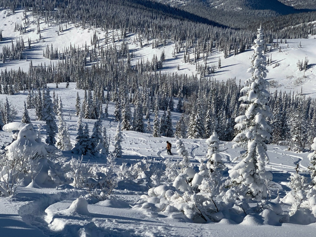 Приисковый