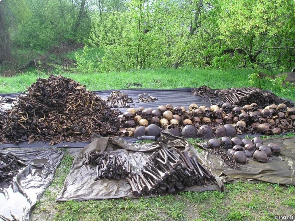 Мясной бор. Мясной Бор Новгородская область Долина. Мясной Бор Новгородская область Долина смерти. Мясной Бор Долина смерти чёрные копатели.