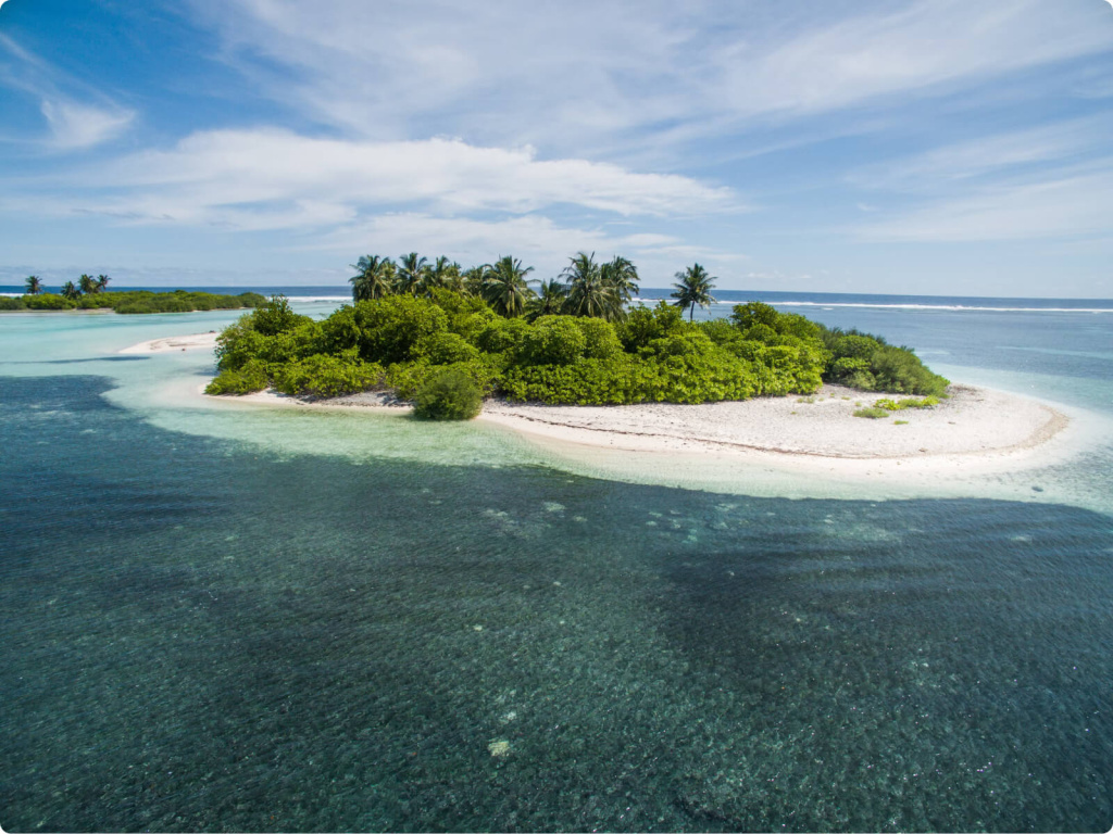 maldivi_addy.jpg
