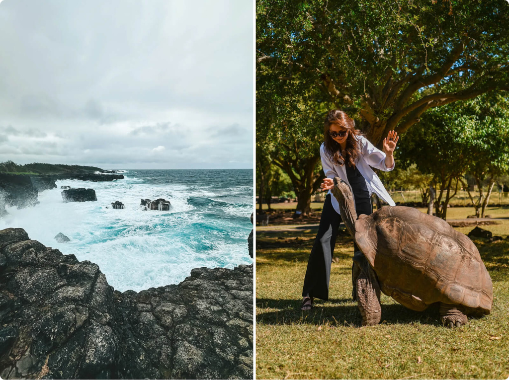 Море и черепаха