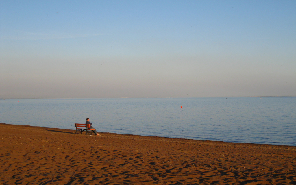 Nature___Beach_Golden_Beach_in_Zelenogorsk_058735_19.jpg Nature___Beach_Golden_Beach_in_Zelenogorsk_058735_19.jpg