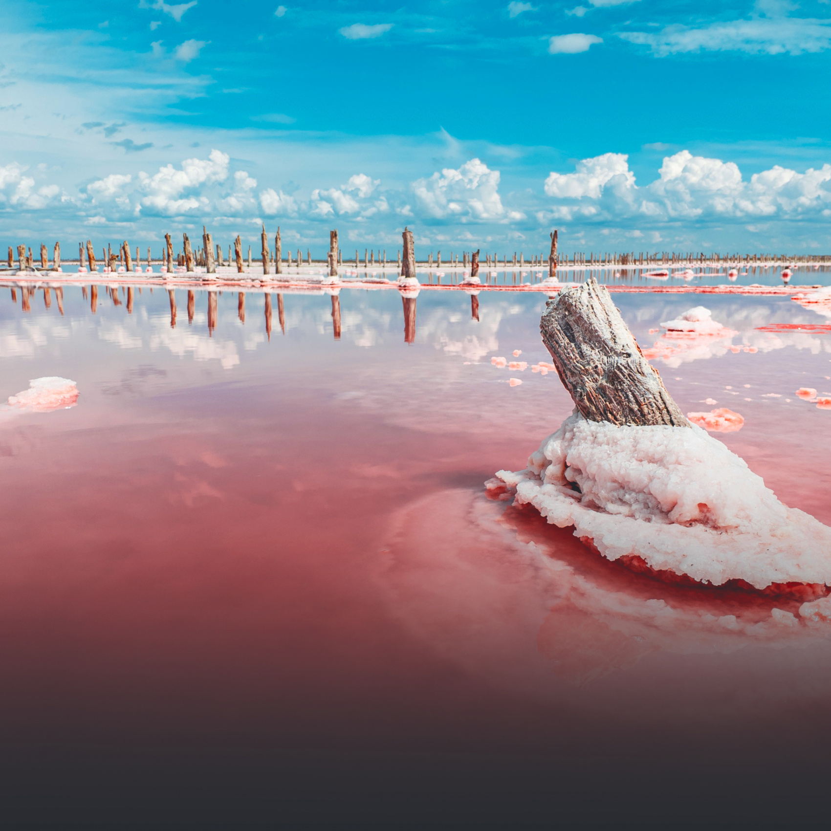 Тарханкут розовое озеро