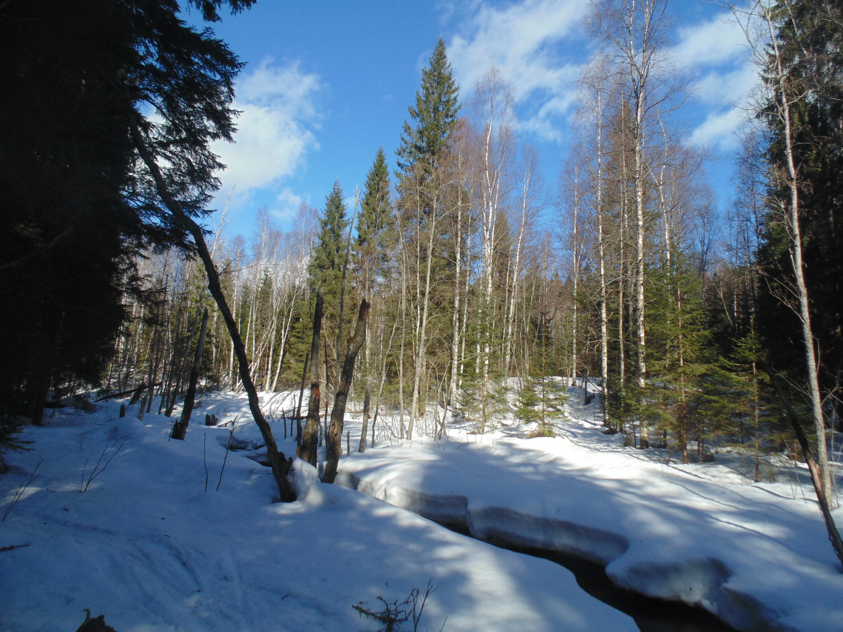 Ski Trip “In The Footsteps Of The Ski Arrow” From Orekhovo To